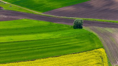 Renkli tarım arazileri ve ekin tarlaları. Hava aracı görünümü