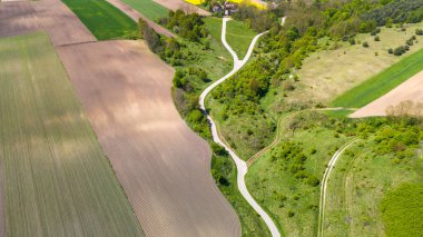 Grodzisko Stradow medieval settlement and curvy countryside road in Ponidzie region of Poland. Drone view clipart