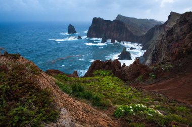 Atlantik Okyanusu 'ndaki yaban çiçekleri ve kayalıklarla Ponta de Sao Lourenco. Madeira, Portekiz.