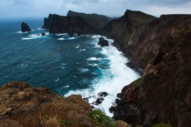Atlantik Okyanusu 'ndaki yaban çiçekleri ve kayalıklarla Ponta de Sao Lourenco. Madeira, Portekiz.