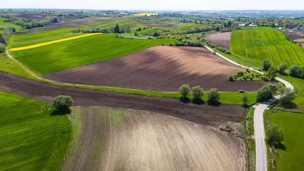 stock image Curvy countryside road in Ponidzie region of Poland. Aerial drone view