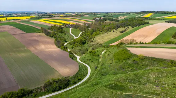 stock image Grodzisko Stradow medieval settlement and curvy countryside road in Ponidzie region of Poland. Drone view