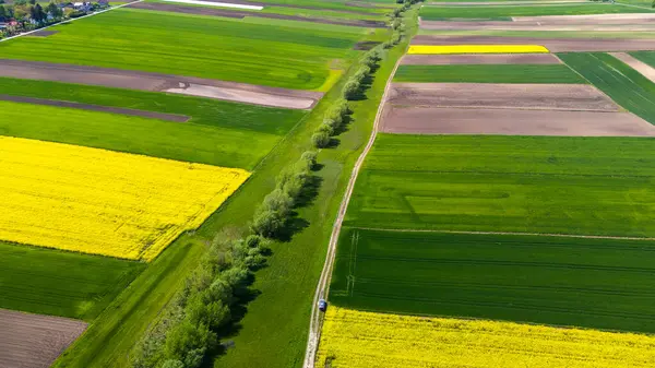 Kleurrijke Landbouwgrond Akkers Luchtdrone Zicht Stockfoto