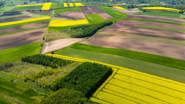 Prachtige Landbouwgrond Platteland Ponidzie Polen Luchtdrone Zicht Rechtenvrije Stockafbeeldingen