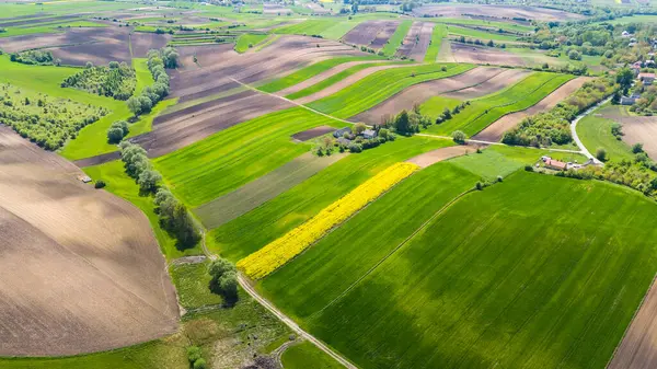 Hermosas Tierras Cultivo Campo Ponidzie Polonia Vista Aérea Del Dron Imagen De Stock
