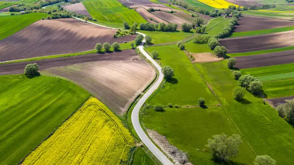 Kurvige Landstraße Der Region Ponidzie Polen Drohnenblick Aus Der Luft Stockfoto