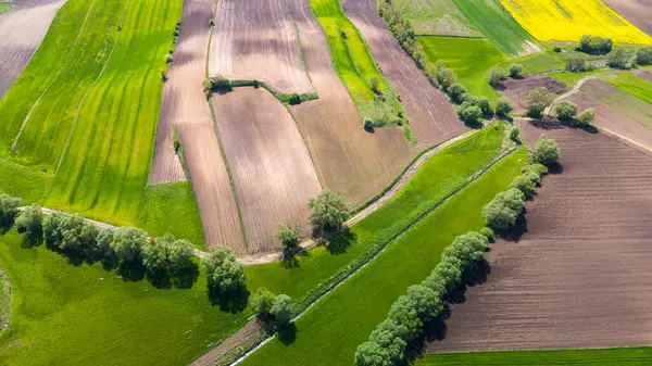Kleurrijke Landbouwgrond Akkers Luchtdrone Zicht Stockfoto