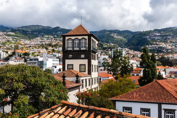 Rooftops Townscape Funchal Madeira Capitol Portugal Island Stok Lukisan  