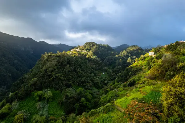 Пейзаж Острова Мадейра Небольшая Деревня Холмах Зеленый Пышный Лес Вид Стоковое Изображение