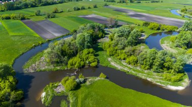 Swietokrzyskie 'de kıvrımlı Nida nehri Polonya' nın Ponidzie bölgesinde kıvrılır. Hava Aracı Görünümü