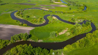 Swietokrzyskie 'de kıvrımlı Nida nehri Polonya' nın Ponidzie bölgesinde kıvrılır. Hava Aracı Görünümü