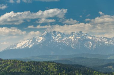 Polonya 'da Pieniny Ulusal Parkı' nın yeşil tepeleri ve karlı Tatra Dağları