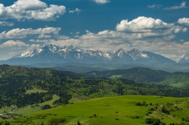 Polonya 'da Pieniny Ulusal Parkı' nın yeşil tepeleri ve karlı Tatra Dağları