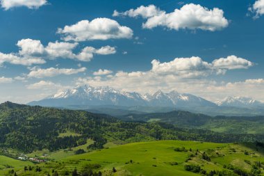 Polonya 'da Pieniny Ulusal Parkı' nın yeşil tepeleri ve karlı Tatra Dağları