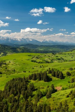 Polonya 'da Pieniny Ulusal Parkı' nın yeşil tepeleri ve karlı Tatra Dağları