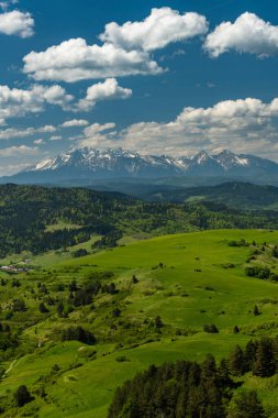 Polonya 'da Pieniny Ulusal Parkı' nın yeşil tepeleri ve karlı Tatra Dağları