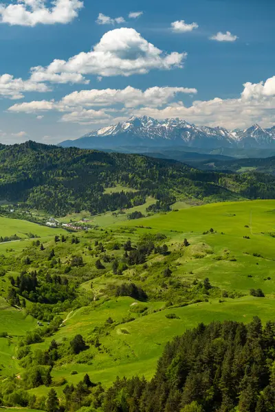 Polonya 'da Pieniny Ulusal Parkı' nın yeşil tepeleri ve karlı Tatra Dağları