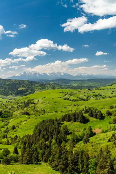 Polonya 'da Pieniny Ulusal Parkı' nın yeşil tepeleri ve karlı Tatra Dağları