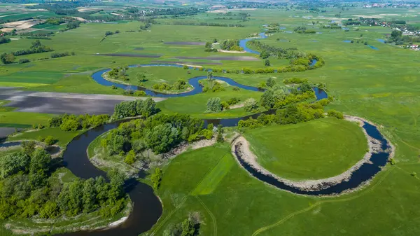 Изогнутая Река Нида Изгибается Свентокшицких Понидзе Польше Воздушный Беспилотник Лицензионные Стоковые Изображения
