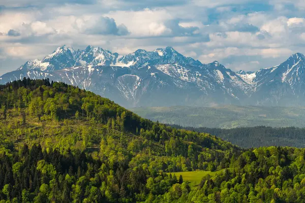 Grüne Hügel Des Nationalparks Pieniny Und Verschneite Tatra Hintergrund Polen Stockfoto