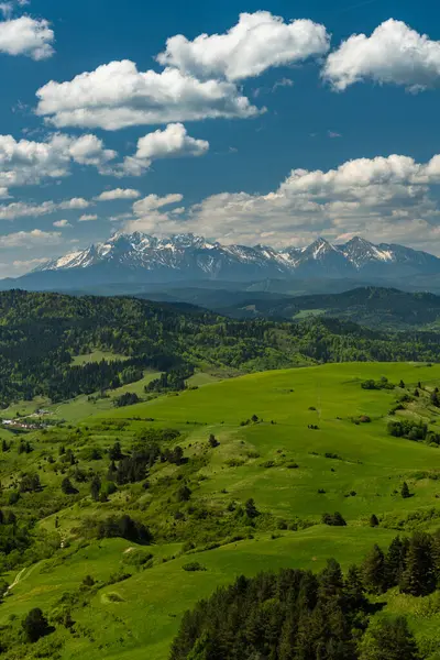 Grüne Hügel Des Nationalparks Pieniny Und Verschneite Tatra Hintergrund Polen Stockbild