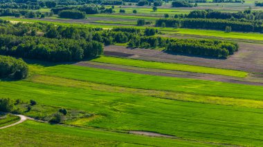 Polonya 'da yaz mevsiminde tarlalar. Hava aracı görünümü