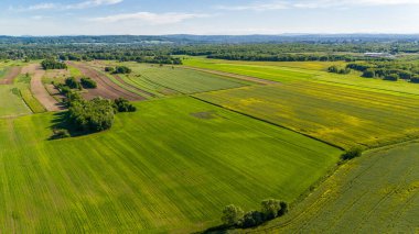 Polonya 'da yaz mevsiminde tarlalar. Hava aracı görünümü