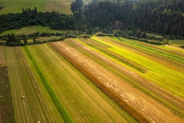 Polonya 'nın Podhale bölgesinde kırsal alanlar ve manzara manzarası. Hava aracı görünümü.