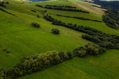 Polonya 'nın Podhale bölgesinde kırsal alanlar ve manzara manzarası. Hava aracı görünümü.
