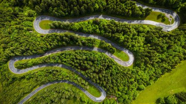 Alp Dağları 'ndaki Çam Ormanı' ndan geçen dolambaçlı yol