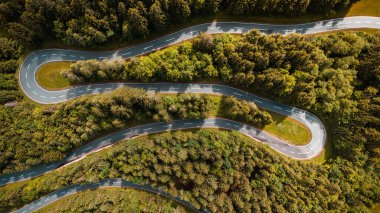 Drone, Sonbahar Yolunu Yoğun Alp Ormanı 'ndan Yakaladı