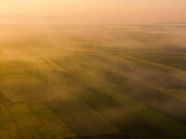 Foggy Sunrise 'daki Renkli Tarım Alanının Hava Aracı Görünümü