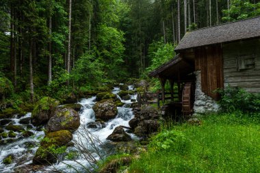 Avusturya 'da Görkemli Gollinger Şelalesi: Doğal Mucize