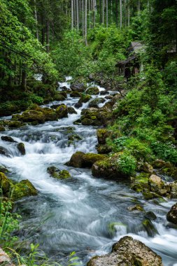Avusturya 'daki Görkemli Gollinger Şelalesini keşfedin