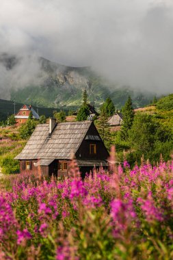 Tatra Dağları ve Gasienicowa Vadisi 'nde Resim Gündoğumu
