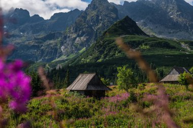 Tatra Dağları 'nın Gasienicowa Vadisi' nde Güzel Sabah