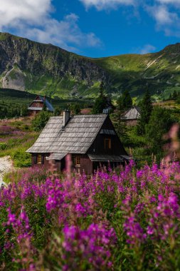 Tatra Dağları 'nın Gasienicowa Vadisi' nde Güzel Sabah