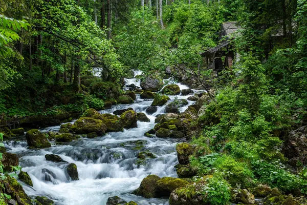 Avusturya 'nın vahşi doğasındaki Gollinger Şelalesinin Güzelliği