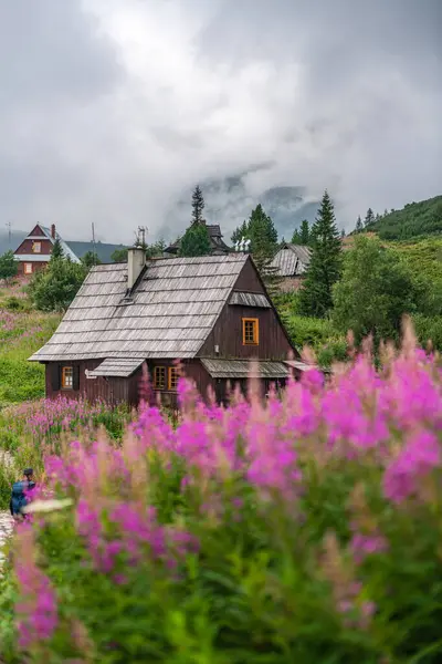 Çiçekler ve Kulübelerle Tatra Dağlarında Güzel Gün Doğumu