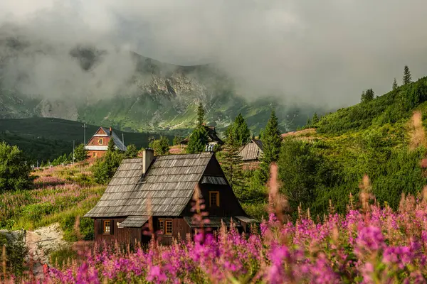 Tatra Dağları ve Gasienicowa Vadisi 'nde Resim Gündoğumu