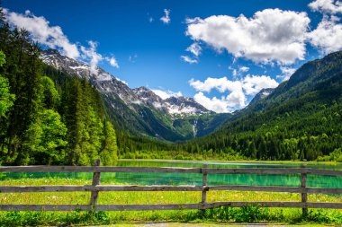 Yazın SLovenia 'daki Zelenci Gölü Doğal Rezervi. Drone görünümü