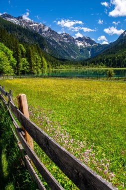 Yazın SLovenia 'daki Zelenci Gölü Doğal Rezervi. Drone görünümü