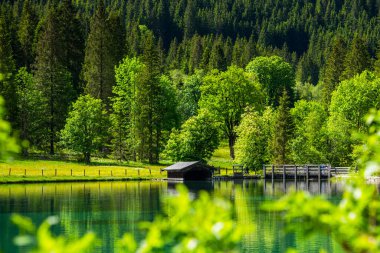 Yazın SLovenia 'daki Zelenci Gölü Doğal Rezervi. Drone görünümü