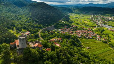 Slovenya 'nın Branik Kasabasında Rihemberk Şatosunun Manzarası