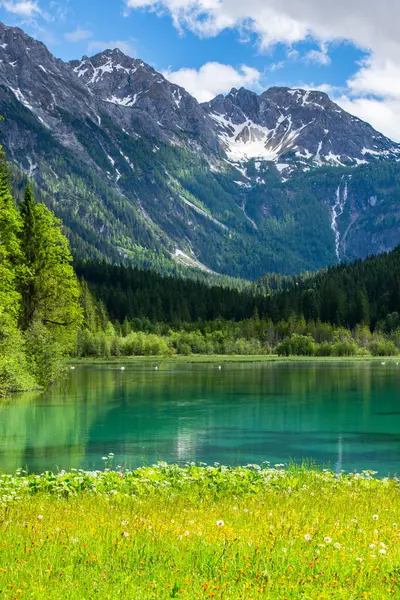 Yazın SLovenia 'daki Zelenci Gölü Doğal Rezervi. Drone görünümü