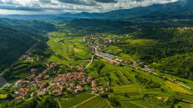Vipava Vadisi 'ndeki Yeşil Yuvarlanan Tepeler ve Üzüm bağları Hava Aracı Görünümü