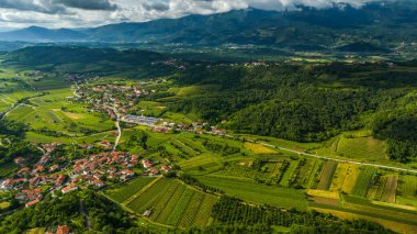 Vipava Vadisi 'nde yaz: Yeşil Tepeler ve Üzüm bağları