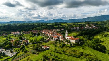 Slovenya 'daki Rolling Hills ve Vineyards' ın Yaz Havacılık Manzarası