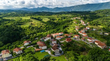 Vipava Vadisi Kasabası ve İnsansız Hava Aracı Perspektifinden üzüm bağları
