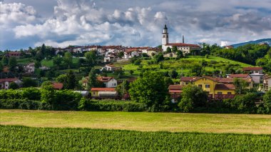 Slovenya 'daki Küçük Kasaba ve Üzüm bağlarının Manzaralı İnsansız Hava Aracı Çekimi